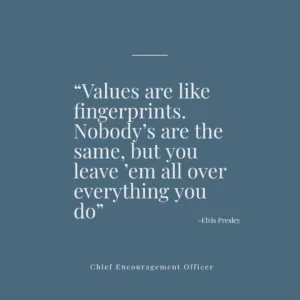 Read more about the article Personal Values and Organisational Values