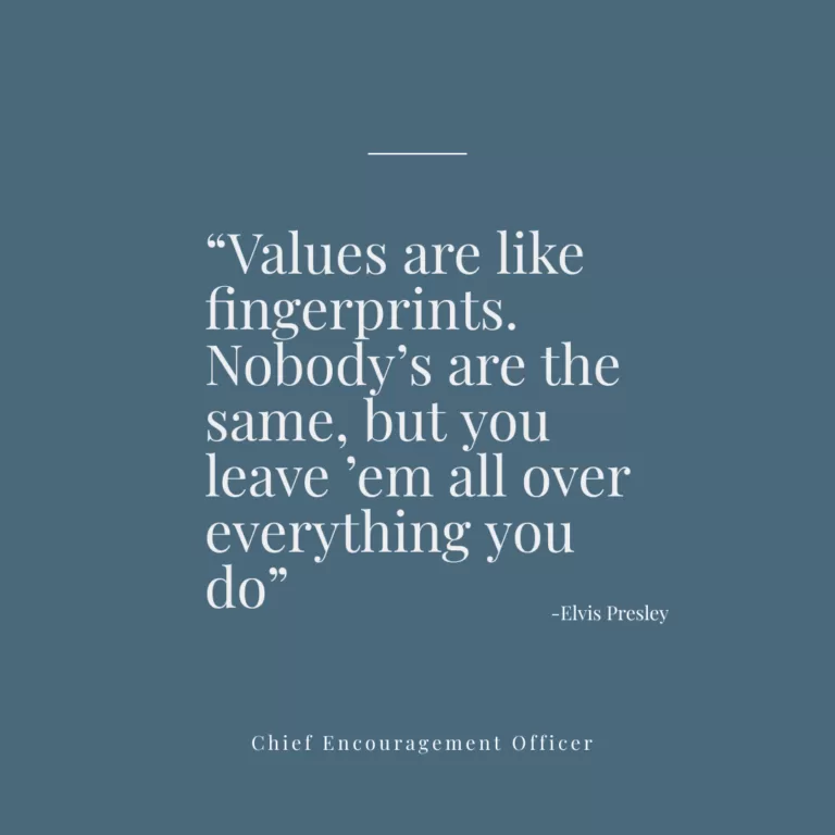Read more about the article Personal Values and Organisational Values